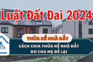 Cách Chia Đất Đai Theo Luật Thừa Kế Đất Đai Mới Nhất Cách Chia Đất Đai Theo Luật Thừa Kế Đất Đai Mới Nhất